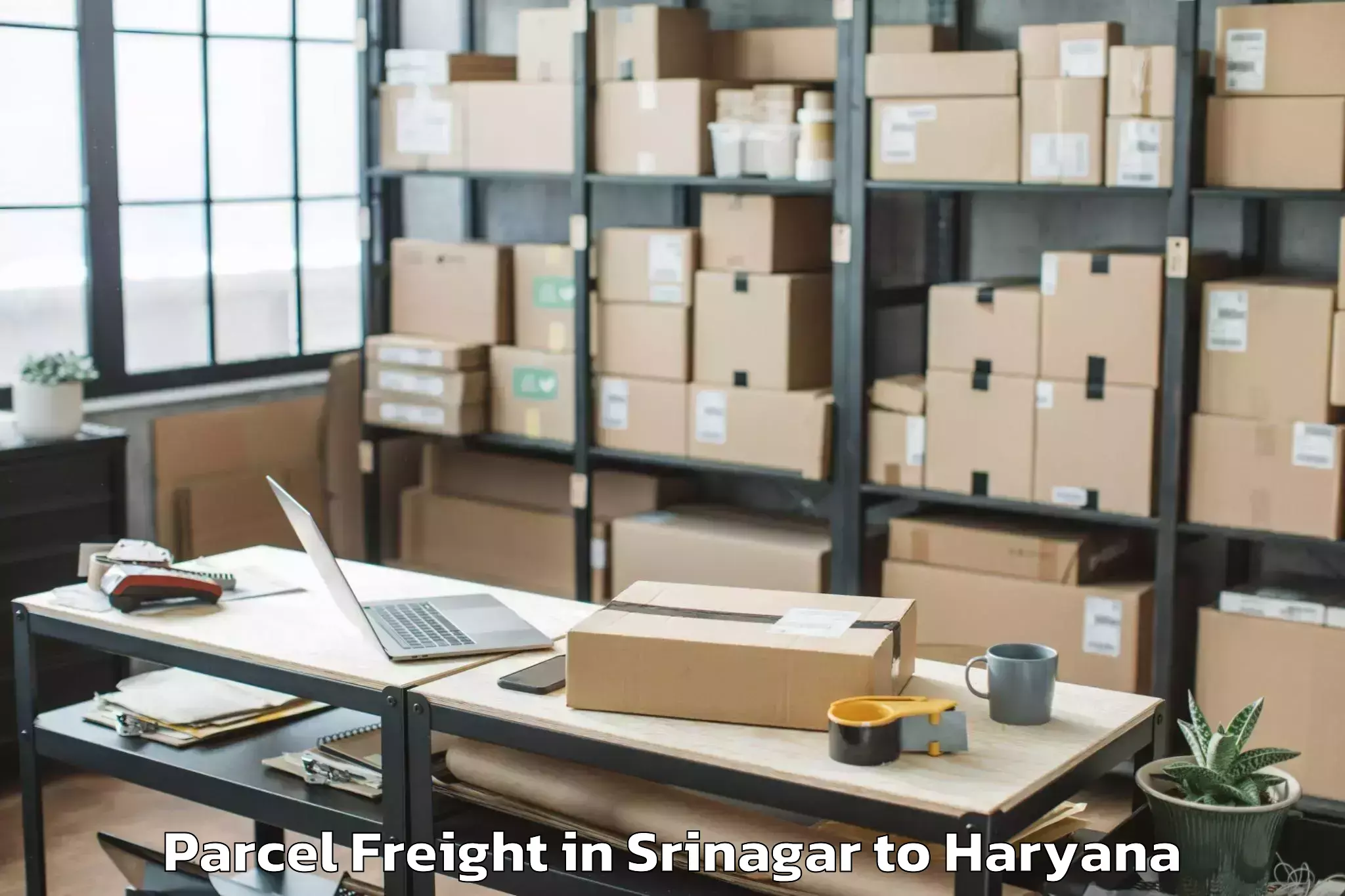 Leading Srinagar to Sampla Parcel Freight Provider